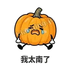 南瓜软包 封面