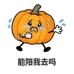 能陪我去吗 - 南瓜软包表情