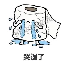 哭湿了 - 掏空卷纸表情
