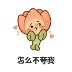 软瓣郁金香 封面