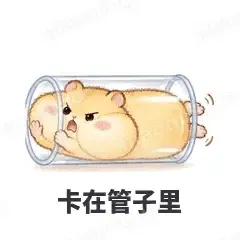 卡在管子里 - 小仓鼠第二弹表情