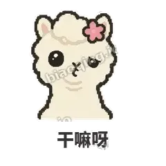 干嘛呀 - 糊糊羊驼表情