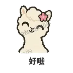 糊糊羊驼