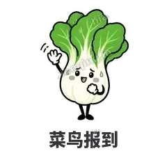 白菜练练 封面