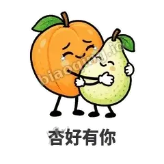 暖杏阿伴 封面