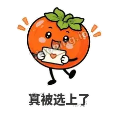 真被选上了 - 好运柿宝表情