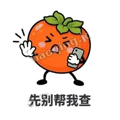 先别帮我查 - 好运柿宝表情