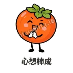 好运柿宝 封面