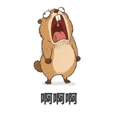 崩溃土拨鼠 封面