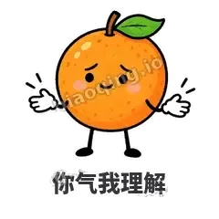 你气我理解 - 橙子坦坦表情