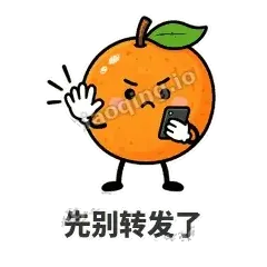 先别转发了 - 橙子坦坦表情