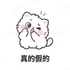 真的假的 - 团子猫表情