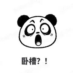手绘熊猫 封面