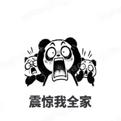 震惊我全家 - 手绘熊猫表情