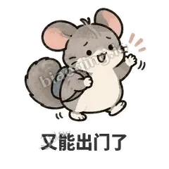 又能出门了 - 软软毛丝鼠表情