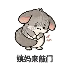 姨妈来敲门 - 软软毛丝鼠表情