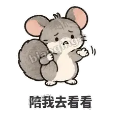 陪我去看看 - 软软毛丝鼠表情
