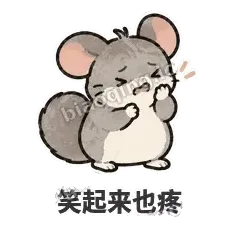 笑起来也疼 - 软软毛丝鼠表情