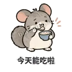 今天能吃啦 - 软软毛丝鼠表情
