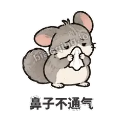 鼻子不通气 - 软软毛丝鼠表情