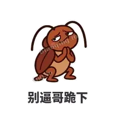 小强老弟