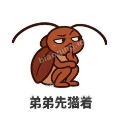 弟弟先猫着 - 小强老弟表情