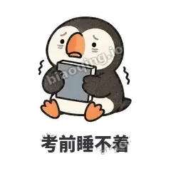 考前睡不着 - 卡壳小海鹦表情