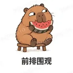 前排围观 - 卡皮巴拉表情
