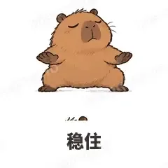 稳住 - 卡皮巴拉表情