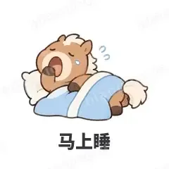 小马驹 封面