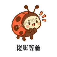 点点小瓢虫 封面