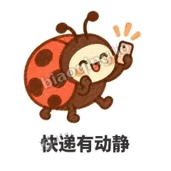 快递有动静 - 点点小瓢虫表情