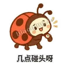 几点碰头呀 - 点点小瓢虫表情