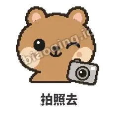 拍照去 - 夸夸矮袋鼠表情