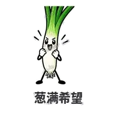 葱葱向前 封面