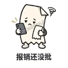 报销还没批 - 较真小票表情
