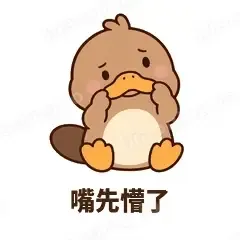 嘴先懵了 - 懵懵鸭嘴兽表情