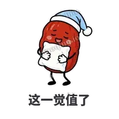 这一觉值了 - 红枣困困表情