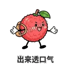 荔枝走走 封面