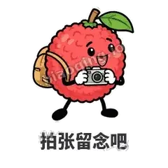 拍张留念吧 - 荔枝走走表情
