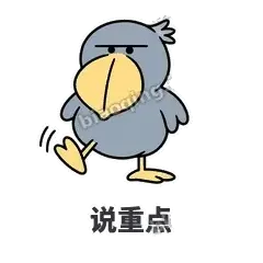 说重点 - 盯人鲸头鹳表情