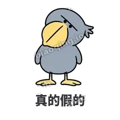 真的假的 - 盯人鲸头鹳表情