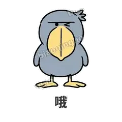 哦 - 盯人鲸头鹳表情
