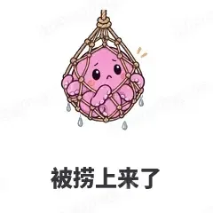 被捞上来了 - 小章鱼表情