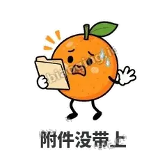 附件没带上 - 橘子雷达表情