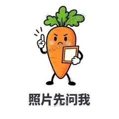 照片先问我 - 萝卜直直表情