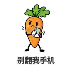 别翻我手机 - 萝卜直直表情