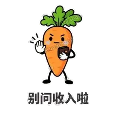 别问收入啦 - 萝卜直直表情