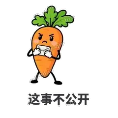 萝卜直直 封面