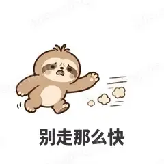 别走那么快 - 慢半拍树懒表情